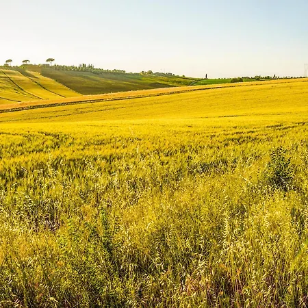 Amazing In San Vito In Monte アパート Baccano