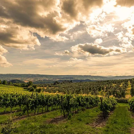 Apartamento Amazing In San Vito In Monte *